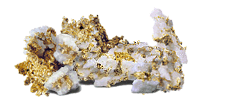 American Bonanza Gold mining Corp.